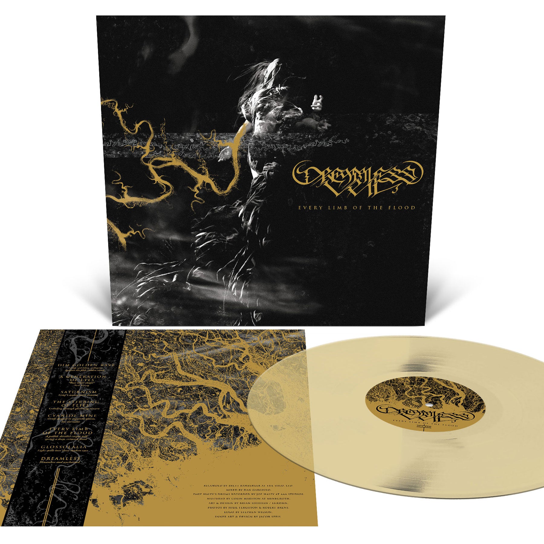 DREAMLESS VEIL 